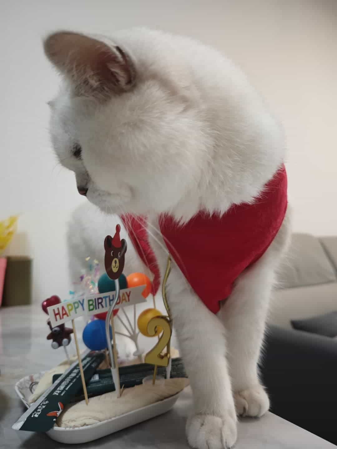 生日照